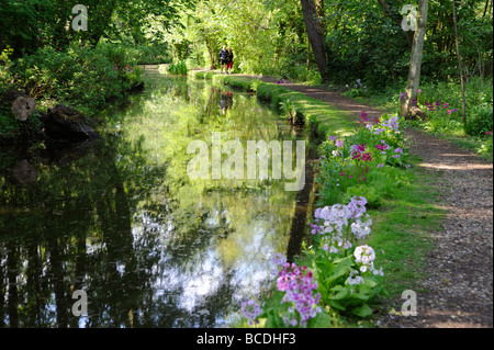 Couple walking by waterway with Primula Candelabras on bank,Fairhaven Woodland and Water Garden,Norfolk,East Anglia,UK, Stock Photo