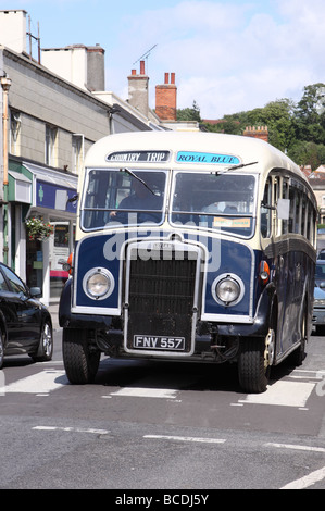 Vintage Leyland Tiger PS1 coach bus in the colours of Royal Blue coaches passes through Glastonbury Somerset England Stock Photo