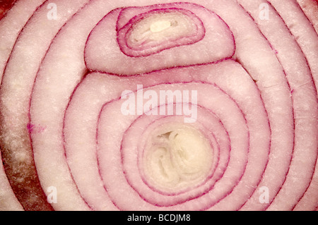 Close up of red onion with visible rings Stock Photo