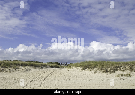 Tire tracks over sand dunes in East Hampton, New York Stock Photo