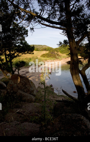 View through trees to Barca Bruciata beach near Tanca Manna North Eastern Sardinia, Italy Stock Photo