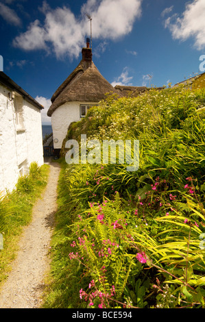 Quaint fishermans cottages surrounded by colourful Spring flowers on the cliffside overlooking Cadgwith Cove Cornwall UK Stock Photo