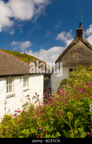 Quaint fishermans cottages surrounded by colourful Spring flowers on the cliffside overlooking Cadgwith Cove Cornwall UK Stock Photo