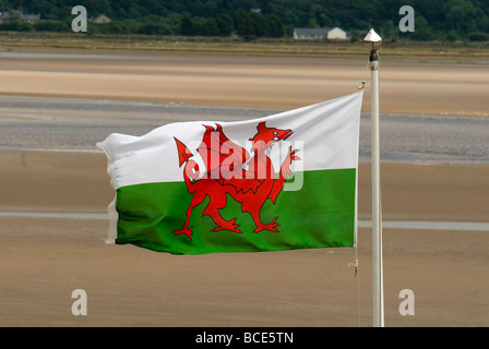 A Welsh national flag. Stock Photo