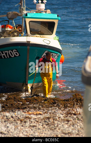 Fisherman landing his trawler on the beach after a mornings fishing at Cadgwith Cove in Cornwall UK Stock Photo
