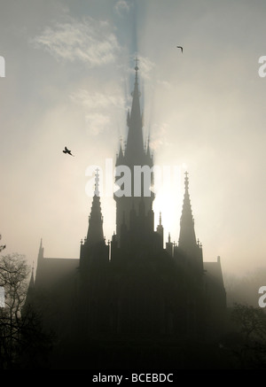 Poland Krakow Podgorze district St Josef s Church in mist birds Stock Photo