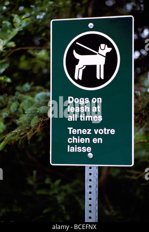 Bilingual Sign in English and French Languages with Graphic Symbol - Dogs on Leash at all Times Stock Photo