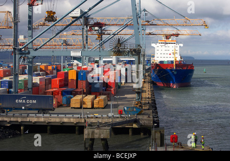 freighter wybelsum unloading freight containers in the port of belfast belfast harbour northern ireland uk europe Stock Photo