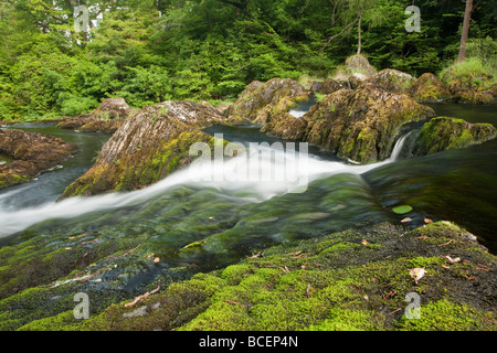 The Afon Llugwn at the top of Swallow falls near Betws y Coed Snowdonia North Wales Uk Stock Photo