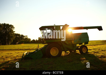 field at sunset - setting sun, summer evening in the countryside Stock ...