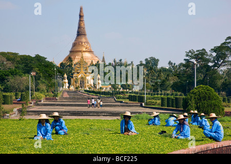 Myanmar, Burma, Yangon. Gardeners tend the grounds of the Shwedagan Golden Temple. Stock Photo