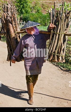 Myanmar, Burma, Pan-lo. A woman carries home a load of firewood near Pan-lo village. Stock Photo