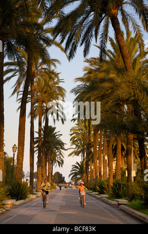 Passeig de Sagrera, Palma, Mallorca, Spain Stock Photo