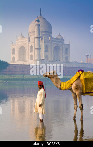 Camal & Driver, Taj Mahal, Agra, Uttar Pradesh, India, MR Stock Photo