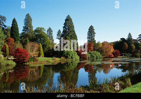 England, Sussex, Autumn Leaves in Sheffield Park Garden Stock Photo