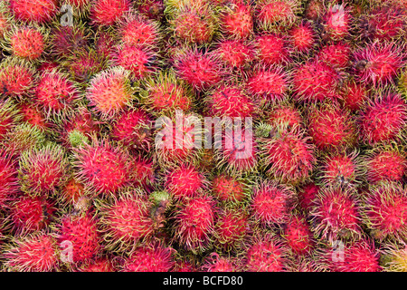 Malaysia, Lycee fruits - detail of Rambutan fruit Stock Photo