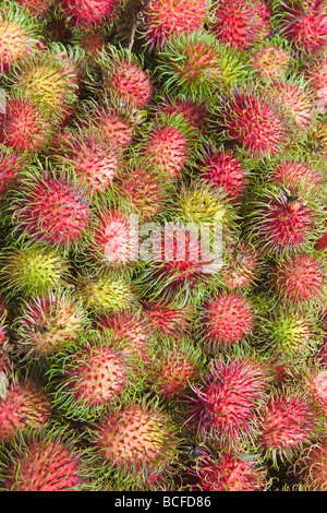 Malaysia, Lycee fruits - detail of Rambutan fruit Stock Photo