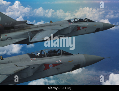 Two Panavia Tornados in formation air to air view Stock Photo