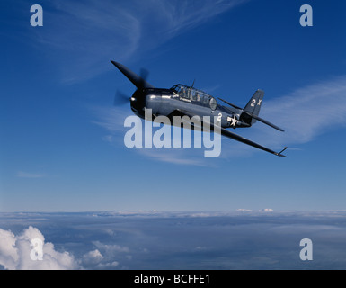 Grumman TBM Avenger in flight previously flown by George Bush Snr and named Barbara Stock Photo