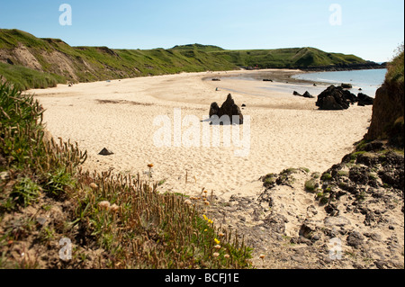 summer afternoon Porth Oer Whistling Sands Lleyn Peninsula Gwynedd North Wales UK Stock Photo