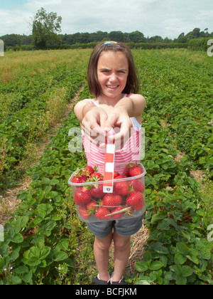 young girl picking strawberries in field during summer Stock Photo
