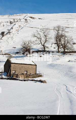 A field barn in the snow, Upper Wharfedale near Kettlewell, Yorkshire Dales National Park UK Stock Photo