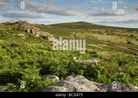 View towards Saddle Tor, Dartmoor, Devon, England, UK Stock Photo