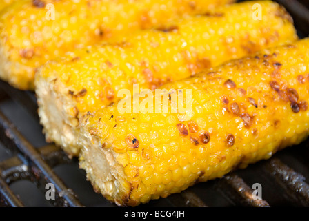 Corn on the cob being grilled on a barbecue for a picnic meal Stock Photo
