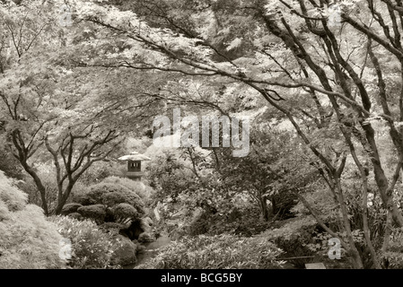 Sculpture and fall color at Portland Japanese Garden Oregon Stock Photo