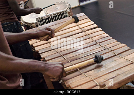 Kinds deals of xylophone