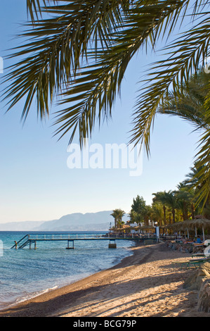 Vertical wide angle of the Red Sea and a beautiful sandy beach lined with palm trees in the sunshine Stock Photo