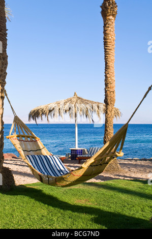 Vertical Wide Angle Of An Empty String Hammock Tied Between Two Palm Bcg7nd Jpg