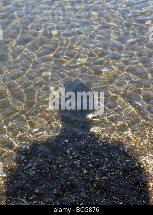 person's shadow in lake water surface Stock Photo