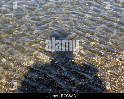 person's shadow in lake water surface Stock Photo