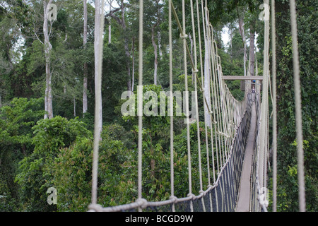 Kakum National Park Canopy Walkway Stock Photo