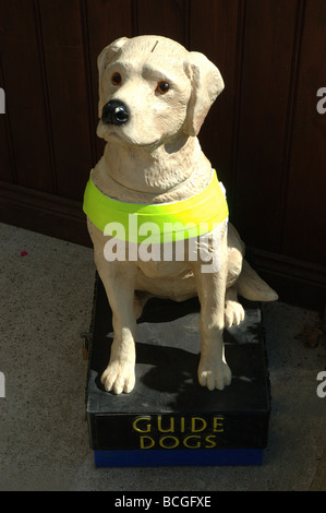 charity collection box for guide dogs for the blind, England, UK Stock Photo