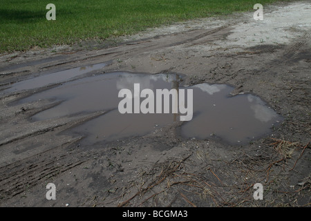 Puddle in dirt driveway. Stock Photo