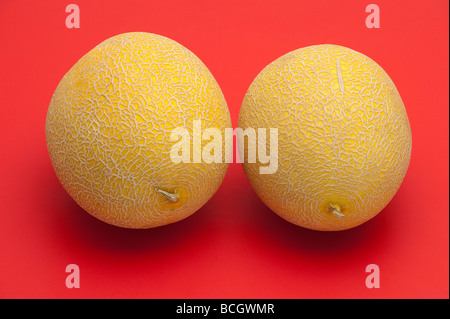 Two Yellow Galia variety melons on a red background Stock Photo