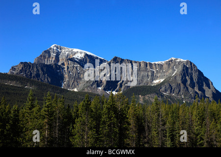 Canada BC Kootenay National Park Mount Whymper Stock Photo