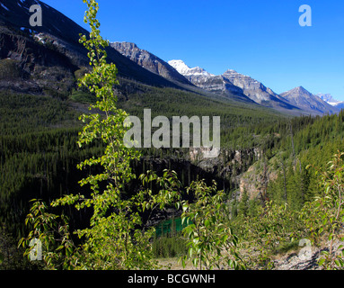 Canada BC Kootenay National Park mountain landscape Stock Photo