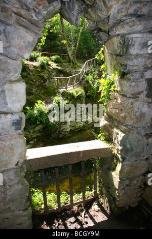 The Hermitage in Tollymore Forest Park, Northern Ireland Stock Photo ...