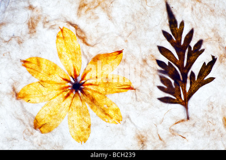 handmade paper background with textures Stock Photo