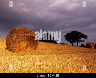 Farming landscape with round straw bale in wheat field after harvest with stormlight sunshine and overcast sky in September. Herefordshire England UK Stock Photo
