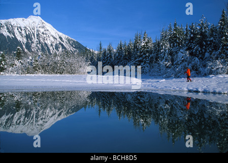 Man Cross Country Skiing Mendenhall Lake SE Winter Stock Photo