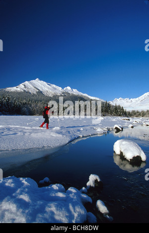 Man Cross Country Skiing Mendenhall Lake SE Winter Stock Photo