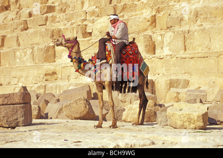Camel Driver in front of Pyramids of Giza Cairo Egypt Stock Photo