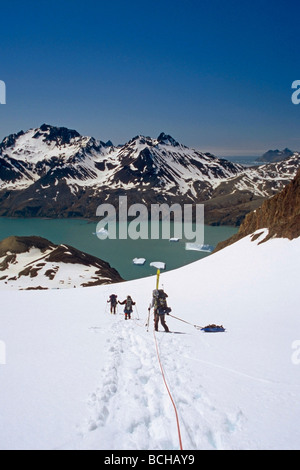 Climbers descending on rope line through deep snow to Fortuna Bay South Georgia Island Antarctic Summer Stock Photo