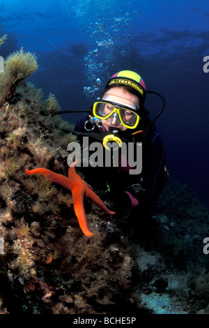 Scuba Diver and Red Starfish Hacelia attenuata Vela Luka Korcula Island Dalmatia Adriatic Sea Croatia Stock Photo