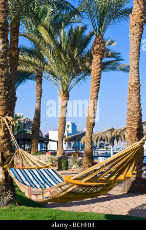Vertical wide angle of an empty string hammock tied between two palm trees overlooking the Red Sea and the beach in the sun Stock Photo