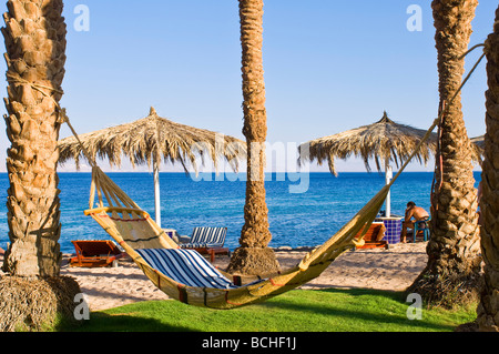 Horizontal wide angle of an empty string hammock tied between two palm trees overlooking the Red Sea and the beach in the sun Stock Photo